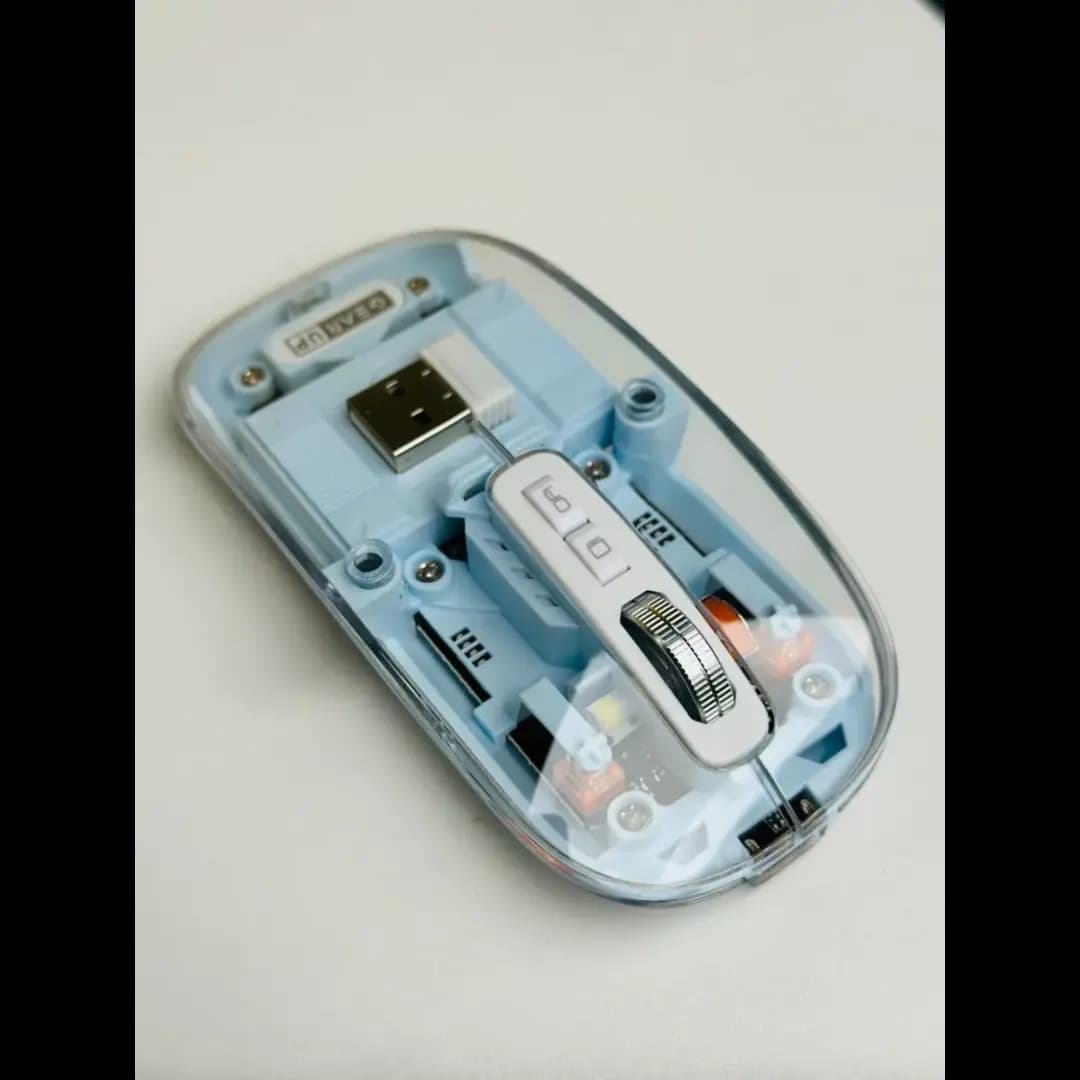 1763066855742_IMG_8620-800x1067 (1).webp