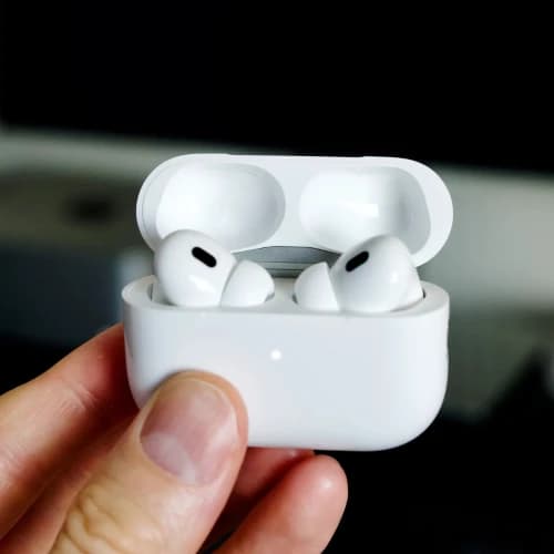 1765619506339_Untitled design.webp